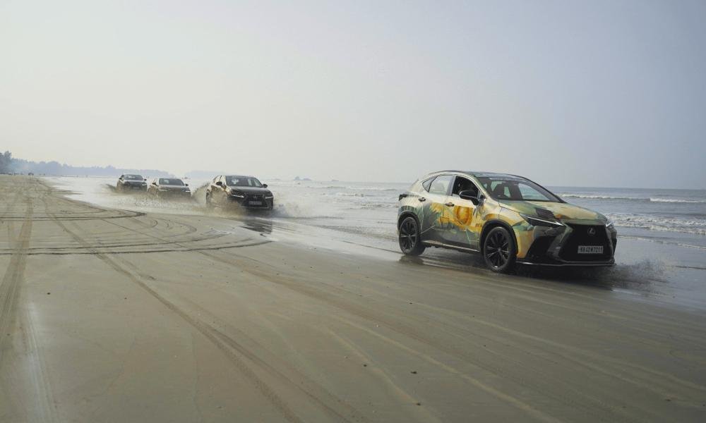Coastal Odyssey