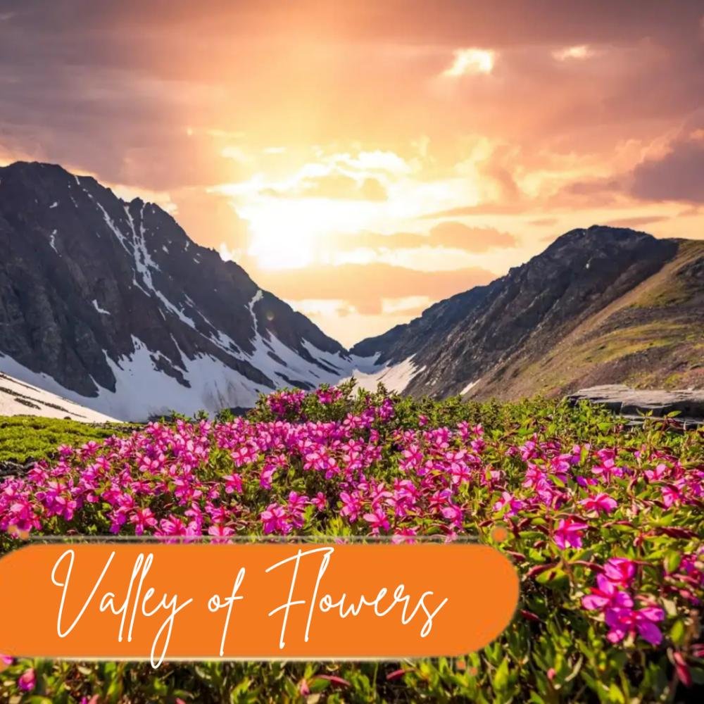 Valley of Flowers
